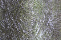 Harrold fibreglass roof work